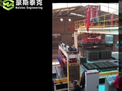 Автоматическая машина переворота Halstec